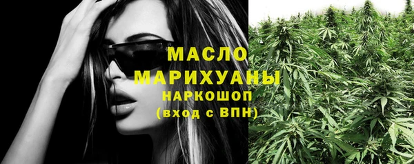 дмт Лабытнанги