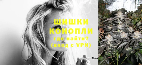 не бодяженный Ладушкин